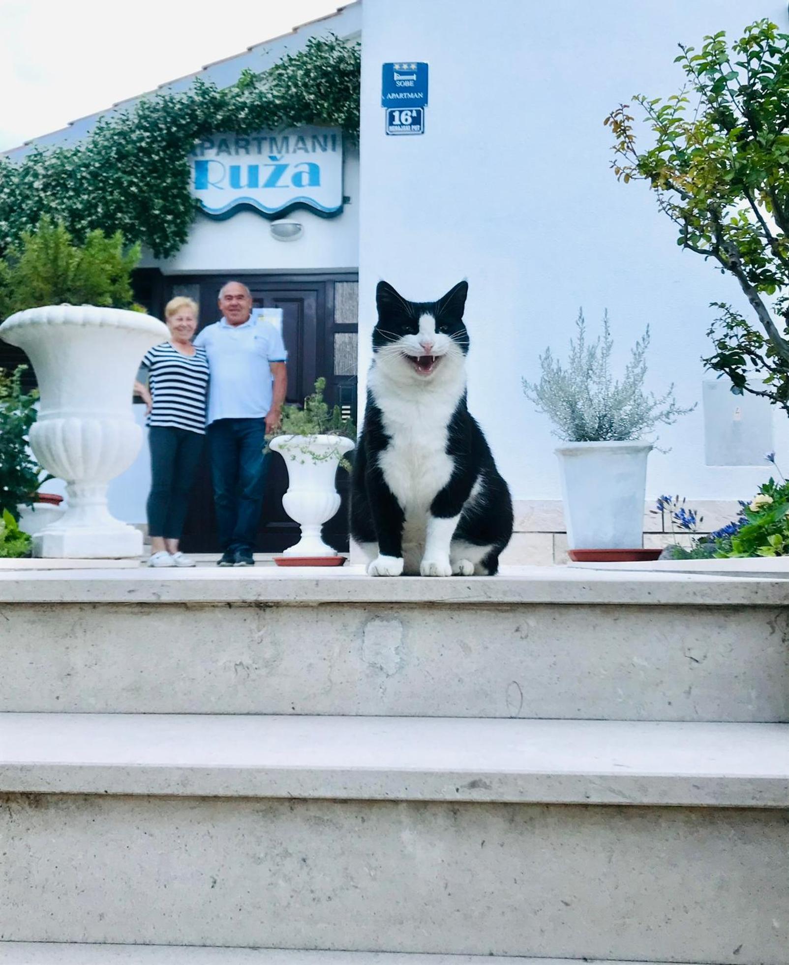 Apartments Ruza Kaštela Εξωτερικό φωτογραφία