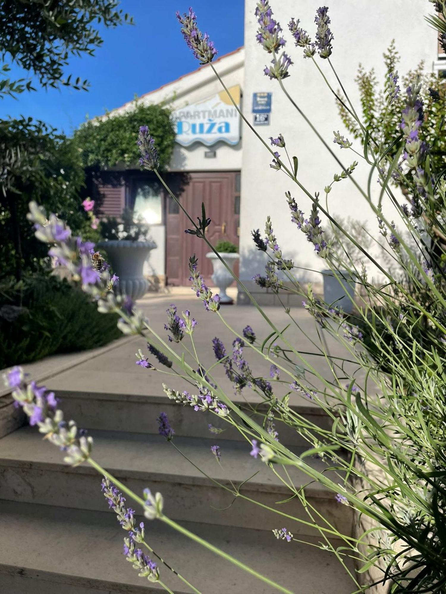 Apartments Ruza Kaštela Εξωτερικό φωτογραφία
